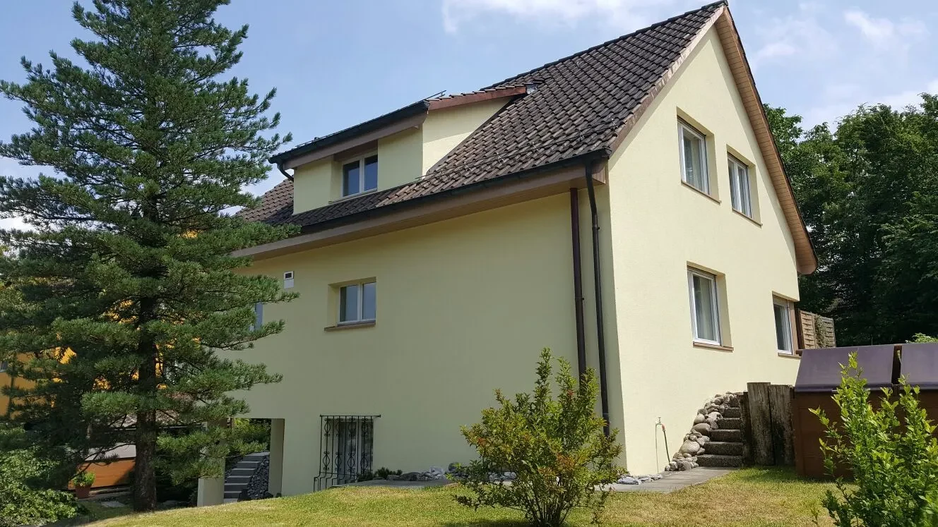 Fassadenrenovationen